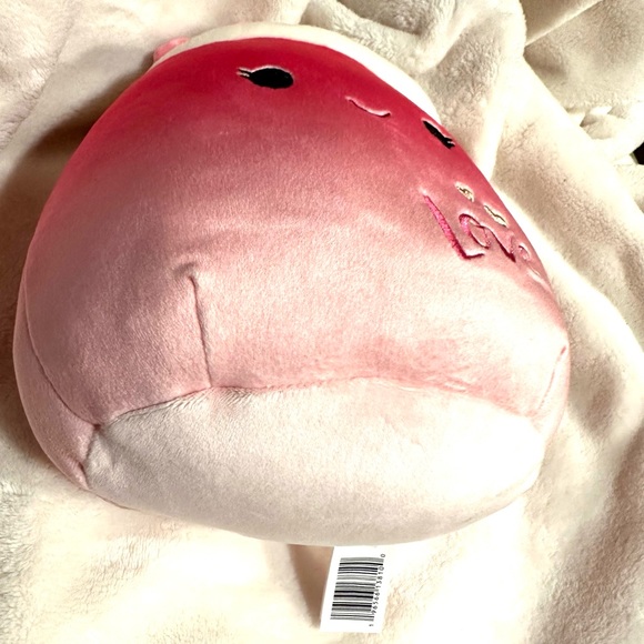 Squishmallow NWT Cinnamon ❤️Price Drop RARE 10" Non-Smoke/Pet Free/PlushNEW - Picture 5 of 9